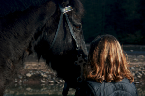 Equitation Naturelle - Voix Naturelle