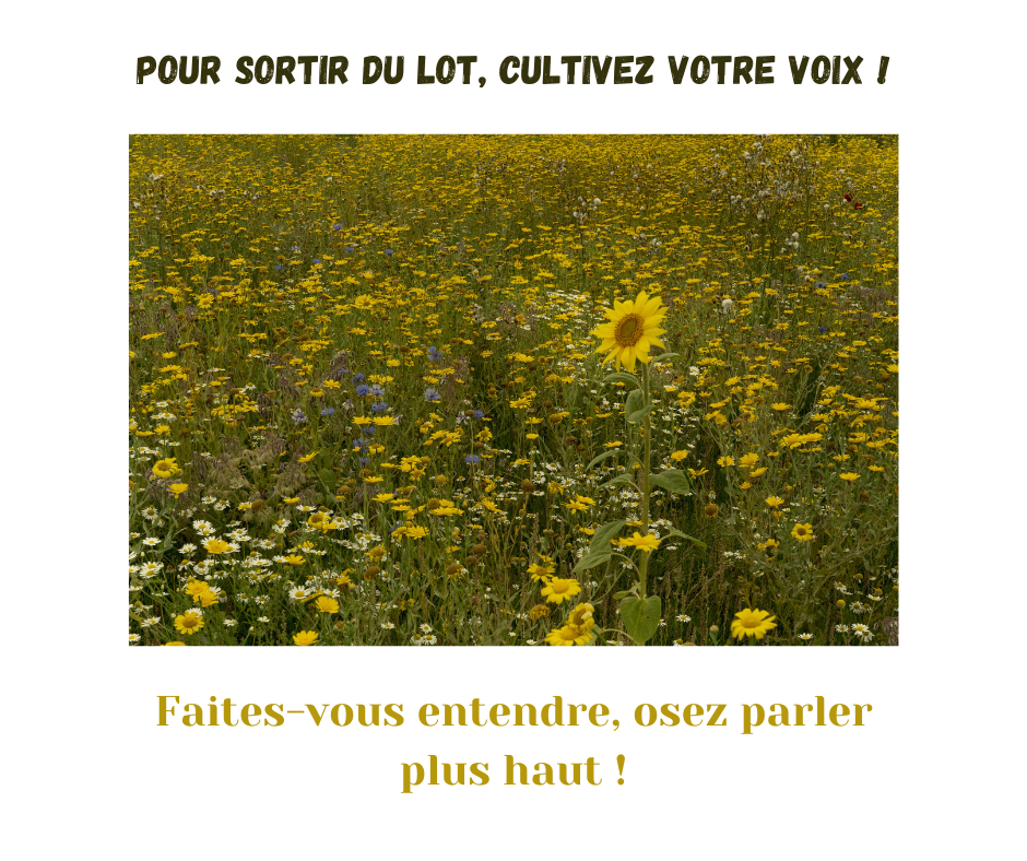 Pour sortir du lot - VoixNaturelle